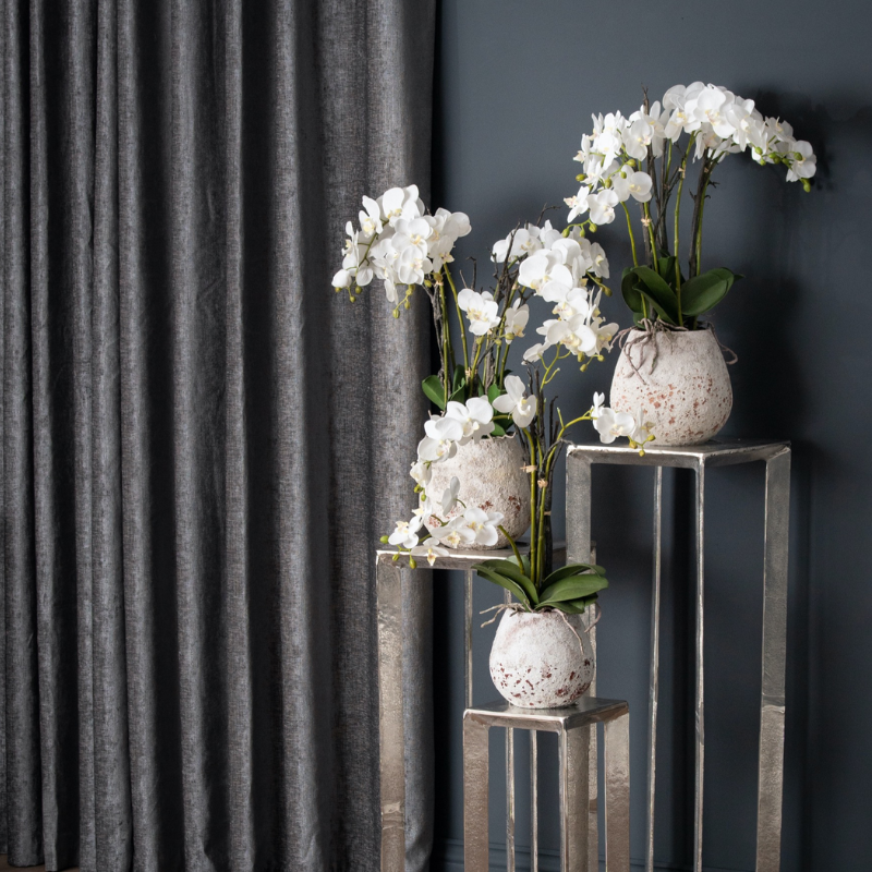 White Orchid In Stone Pot