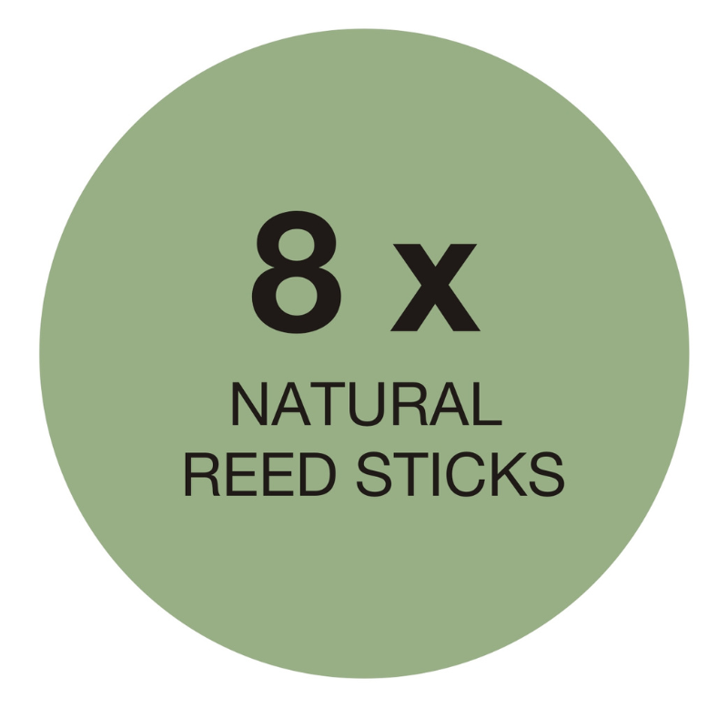 16 reed Sticks