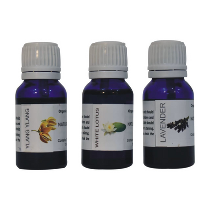 Black Buddha Oil Burner Set (Ylang Ylang, White Lotus, Lavender) - HOMEBELLA