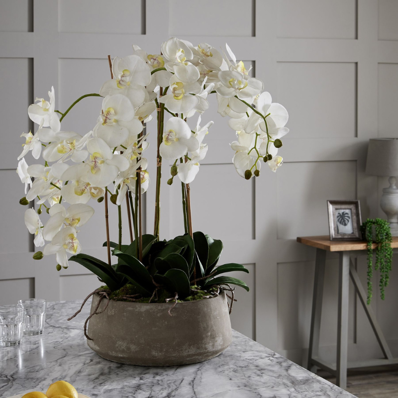 This is the Large White Orchid in Stone Pot. A classy home addition that will add an air of serenity and elegance wherever it's placed. This faux orchid boasts a botanical accuracy second to none.  From the realistic root network spilling from the on-trend stone pot to the variety of opened blooms and closed buds, every care has been taken in its creation. This faux plant would look fantastic as a dining table or kitchen island centrepiece.