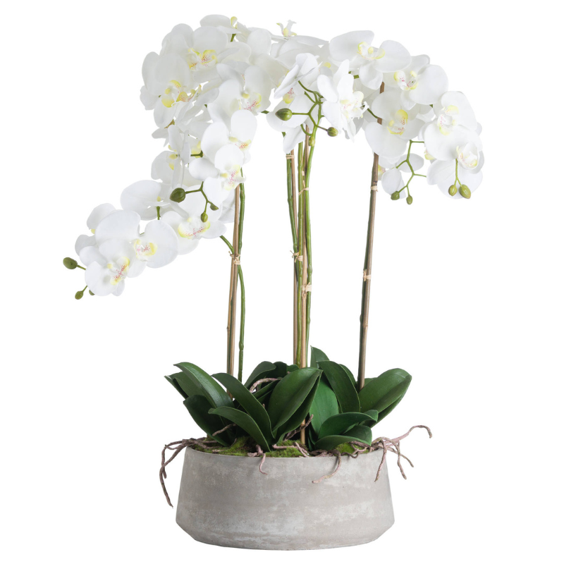 This is the Large White Orchid in Stone Pot. A classy home addition that will add an air of serenity and elegance wherever it's placed. This faux orchid boasts a botanical accuracy second to none.  From the realistic root network spilling from the on-trend stone pot to the variety of opened blooms and closed buds, every care has been taken in its creation. This faux plant would look fantastic as a dining table or kitchen island centrepiece.